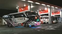 Bus Dibatasi Isi Solar 200 Liter, IPOMI dan Organda Nilai Tak Sesuai Kebutuhan di Lapangan
