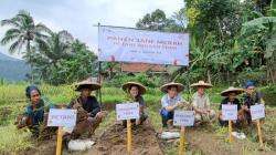 Petani Jahe Merah Lebak Banten Binaan YDBA Hasilkan Panen 32,5 Ton   
