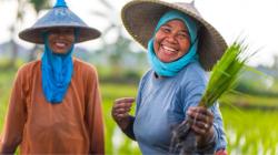 Asal Usul Kata Pribumi, Sudah Ada Sejak Masa Kolonialisme 