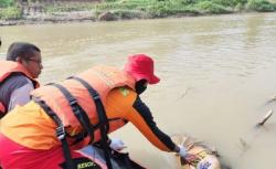 Kakek Tenggelam di Sungai Ciujung Serang Ditemukan Tewas