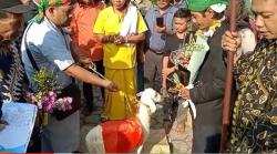 Penangguhan Penahanan Dikabulkan, 4 Tersangka Kasus Pernikahan Manusia dan Kambing Jadi Tahanan Kota