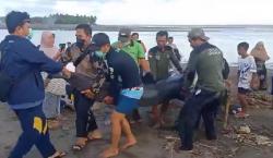 Paus 2,5 Meter Terdampar di Jembrana Bali Mati dan Dikubur di Tepi Pantai 