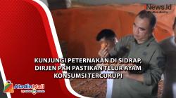 Kunjungi Peternakan di Sidrap, Dirjen PKH Pastikan Telur Ayam Konsumsi Tercukupi 