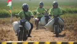 Seru! Tukang Ojek Adu Cepat Ngebut Bawa Gabah di Tengah Sawah