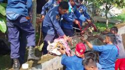 Buaya Muara 100 Kg Masuk Kolam Ikan, Warga Cisalak Subang Gempar<