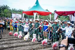 PT Pertamina Hulu Rokan dan TNI AD Olah Lahan 100 Hektare untuk Tanaman Pangan