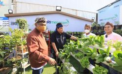 Kurangi Emisi Karbon, BRI Menanam Targetkan 1,75 Juta Bibit Pohon Produktif hingga 2023
