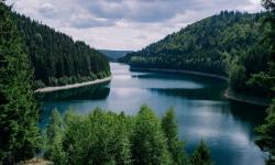 Ilmu yang Mempelajari Klasifikasi Makhluk Hidup Disebut Apa? Ini Penjelasan, Tingkatan dan Manfaatnya