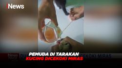 Miris! 2 Kucing Dicekoki Miras Oleh 2 Pemuda di Tarakan
