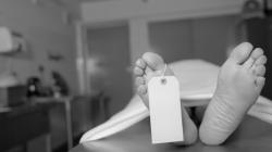 Gudang Perusahaan Kontainer Ambruk, 9 Orang Tewas dan 28 Luka-Luka