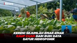 KEREN! Sejumlah Emak-emak Raup Cuan dari Budi Daya Sayur Hidroponik di Jatim