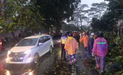 Bogor Hujan Angin, 1 Pemotor di Jalan Paledang Luka-Luka Tertimpa Pohon Tumbang<