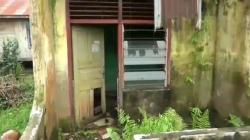 10 Tahun Tak Dihuni, Rumah Dinas Guru di Muarojambi seperti Rumah Hantu