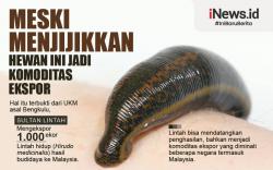 Infografis Meski Menjijikan, Hewan Ini Ternyata Jadi Komoditas Ekspor 