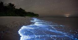 Inikah Pantai Tercantik di Dunia? Pasirnya Berwarna Pink dan Ada yang Menyala saat Malam