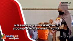Melahirkan, Napi Perempuan di Sidoarjo Rawat Bayinya di Rutan