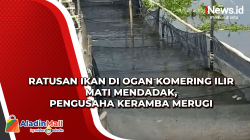 Ratusan Ikan di Ogan Komering Ilir Mati Mendadak, Pengusaha Keramba Merugi