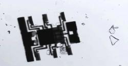 Ilmuwan Ini Sukses Bikin Robot Mikroskopik, Bisa Bergerak Tanpa Remot Kontrol