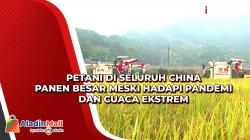 Petani di Seluruh China Panen Besar meski Hadapi Pandemi dan Cuaca Ekstrem