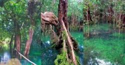 Ternyata seperti Ini Pemandangan Cantik Negeri Dongeng yang Ada di Biak Papua!