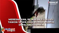 Relawan Evakuasi Sarang Tawon Vespa dari Rumah Warga di Palangka Raya