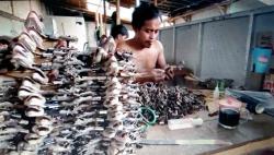 Bisnis Dendeng Tokek, Warga Banjarnegara Ini Raup Omzet Puluhan Juta Rupiah