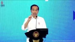Jokowi Sebut Ada Peluang yang Bisa Dimanfaatkan di Tengah Krisis Pangan, Apa Itu?