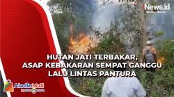 Puntung Rokok Diduga Jadi Penyebab Kebakaran Kawasan Hutan Jati di Tuban