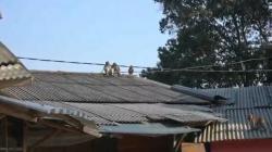 Diduga Kelaparan, Monyet Ekor Panjang Serbu Permukiman Warga di Curug Pelangi Cisarua KBB