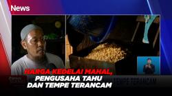 Harga Kedelai Mahal, Pengusaha Tahu dan Tempe Terancam 