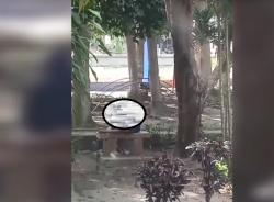 2 Pasangan Kekasih Mesum di Taman Firdaus Pinrang, Kasatpol PP: Kami Kecolongan