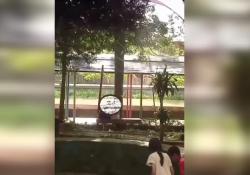 Viral Video 2 Pasangan Kekasih Mesum di Taman Firdaus Pinrang<