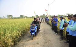 Cegah Gagal Panen, Pemprov Sumsel Minta Petani Terapkan Teknologi<