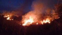 Titik Api Kembali Muncul di Gunung Ciremai Kuningan, Semak Belukar Terbakar Hebat<