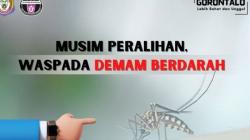 Waspada! Ada 360 Kasus DBD di Gorontalo pada Januari-Juli 2022