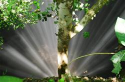 Mengenal Luweng Grubug, Gua Tempat Eksekusi Pengikut PKI di Gunungkidul