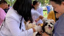 Peringati Hari Rabies Sedunia, Ratusan Anjing dan Kucing Divaksin Gratis di Manado
