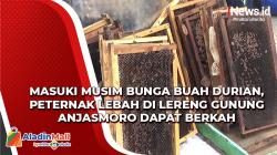 Musim Bunga Buah Durian jadi Berkah Peternak Lebah di Jombang, Ini Alasannya