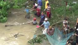 Bendungan Terbesar di Pekalongan Dibuka, Ribuan Warga Berebut Panen Ikan<