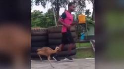 Viral Burung Kasuari Ikut Jogging Bersama Anggota TNI, Keliling Kodim Manokwari Selatan