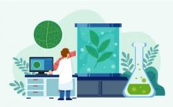 7 Ciri-ciri Makhluk Hidup dan Penjelasannya, dari Bernapas hingga Bereproduksi