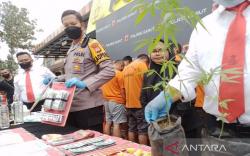 Polisi Telusuri Dugaan Ladang Ganja di Cisurupan Garut  <