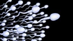 5 Cara Membedakan Sperma Subur dan Tidak, Lihat dari Warna hingga Kekentalan
