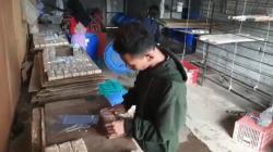 Dampak Kenaikan Harga Kedelai, Perajin di Boyolali Kurangi Ukuran Tempe