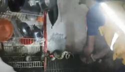 Ular Piton 3 Meter Bersarang di Rumah Warga Dievakuasi Petugas Damkar