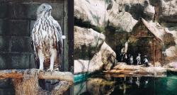 Menjelajahi Kebun Binatang Gembira Loka, Ada Taman Reptil dengan Koleksi Hewan Purba