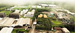 Tiga Pengendali Pinago Utama (PNGO) Kompak Jual-Beli Saham, Kenapa?  