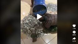 Viral Video 1 Keluarga Bongkar Celengan Uang Koin dalam Drum Hasil Menabung 1,5 Tahun