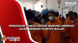 Pengedar Ganja Cekoki Burung Merpati agar Menang Kontes Balap di Bandung