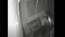 Viral Video Aksi Pencurian di Toko Kelontong Makassar, Pelaku Gasak Emas 30 Gram, HP, dan Uang